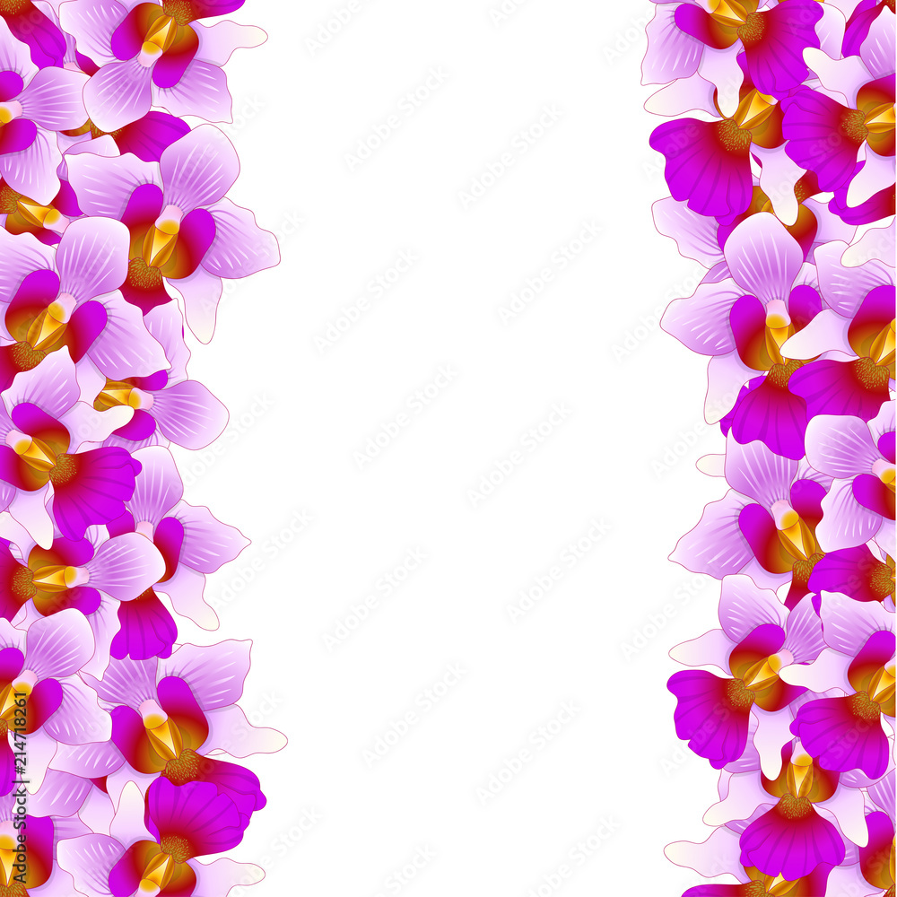 Purple Vanda Miss Joaquim Orchid Border