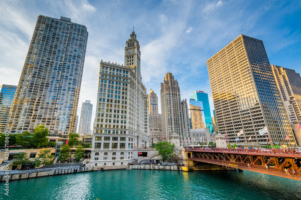 Fototapeta premium Wieżowce wzdłuż rzeki Chicago w Chicago, Illinois