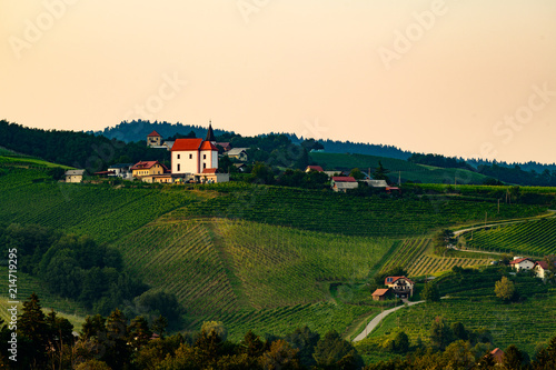 Vineyards with small village in Ritoznoj, Slovenia photo