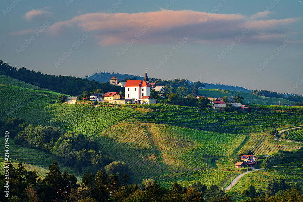 Vineyards with small village in Ritoznoj, Slovenia