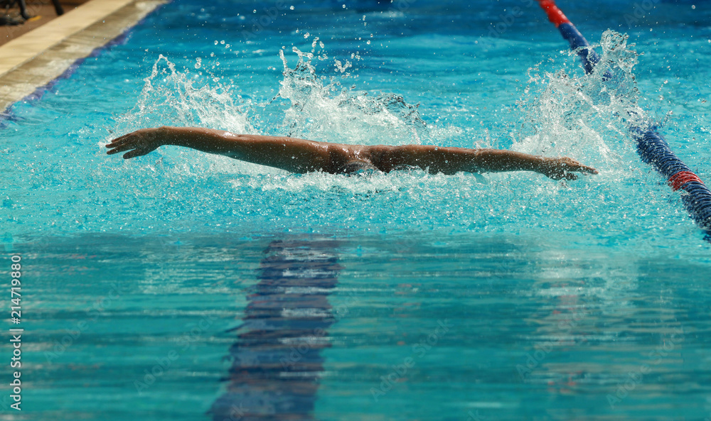 Swimmer wearing white cap practice butterfly stroke in a swimming pool for competition or race