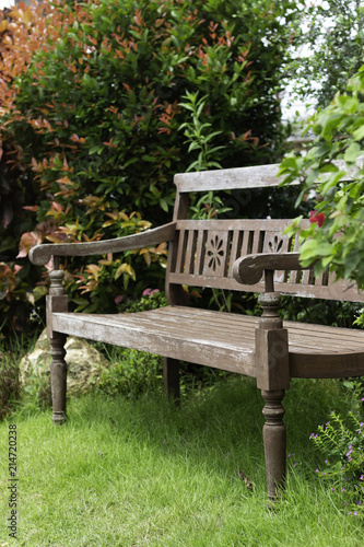 green backyard and wood chair