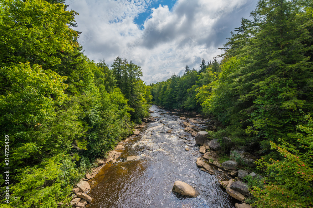 Naklejka premium The Blackwater River at Blackwater Falls State Park, West Virginia.