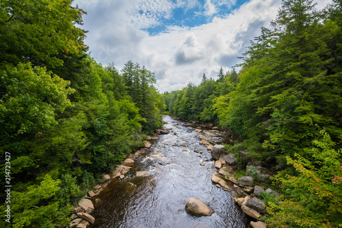 Photos The Blackwater River at Blackwater Falls State Park, West Virginia