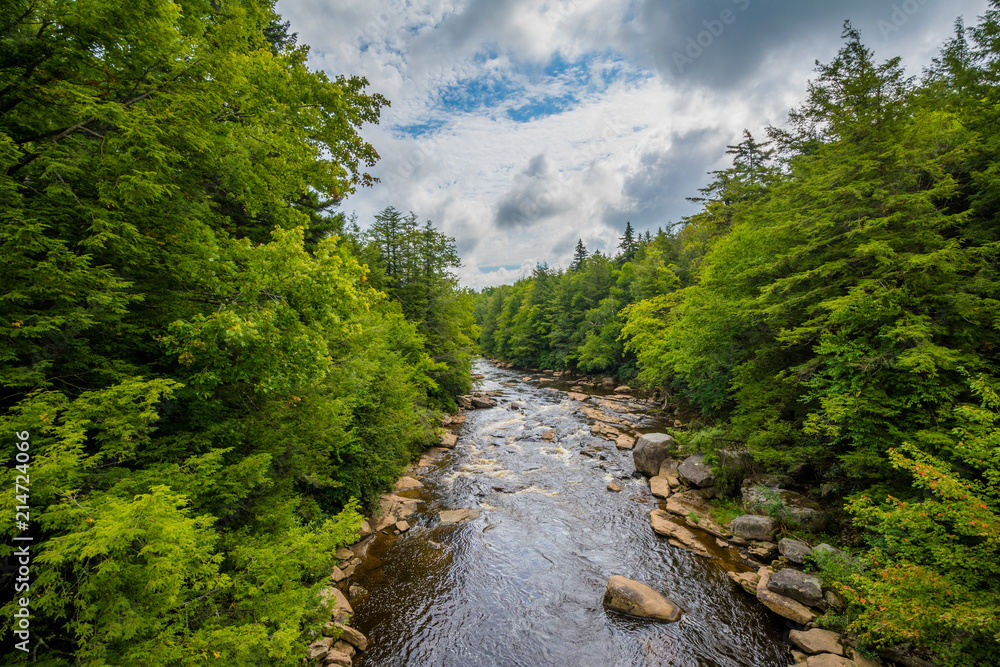 The Blackwater River at Blackwater Falls State Park, West Virginia. The Blackwater River at Blackwater Falls State Park, West Virginia.