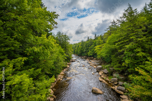 The Blackwater River at Blackwater Falls State Park, West Virginia. © jonbilous
