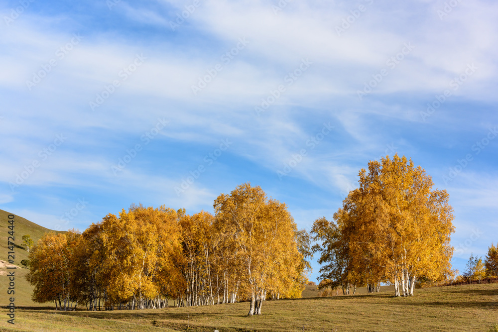 Natural scenery of Inner Mongolia grassland in autumn in China	