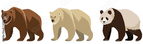 set of three bears. A grizzly bear  a polar bear and a panda bear. Vector illustration  isolated object