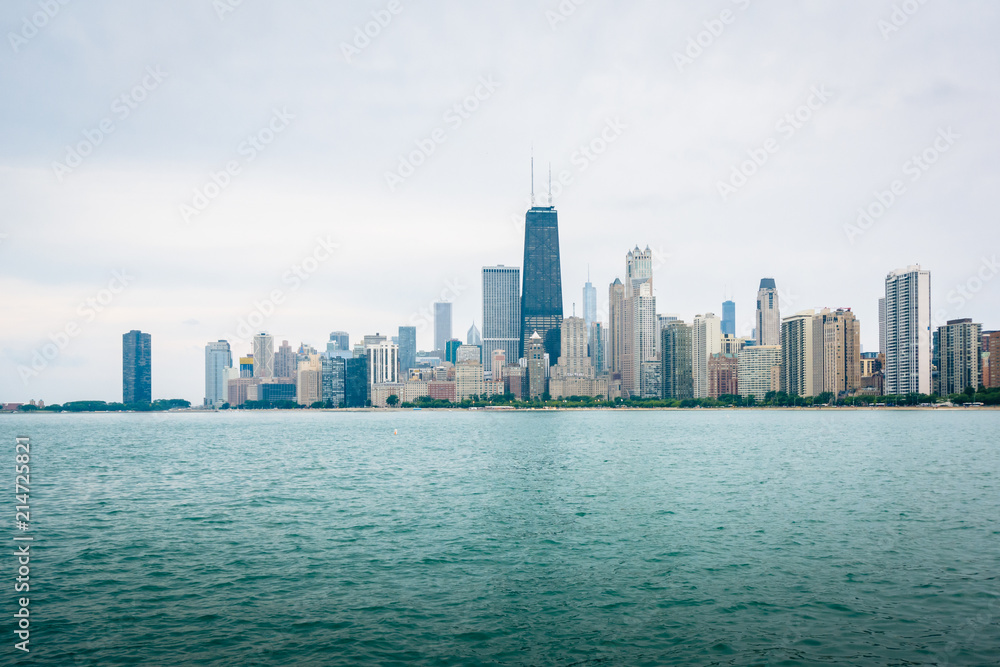 Fototapeta premium Panoramę Chicago widzianą z North Avenue Beach w Chicago, Illinois.