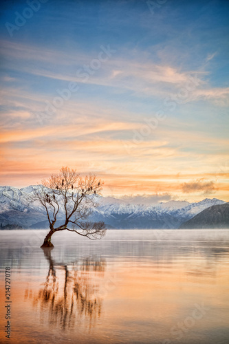 Lake Wanaka Otago New Zealand
