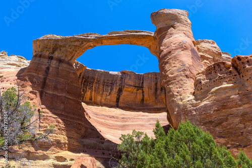East Rim Arch at Rattlesnake Canyon in McInnis Canyons National Conservation Area, Colorado State, USA photo