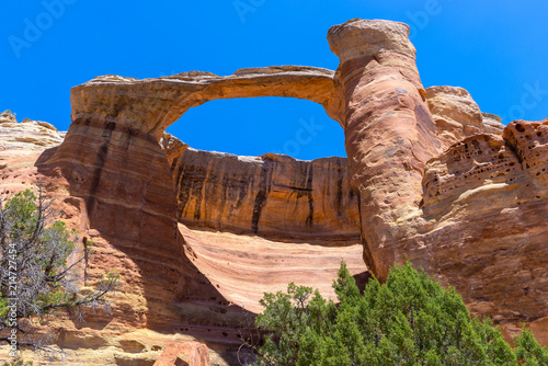 Photography East Rim Arch at Rattlesnake Canyon in McInnis Canyons National Conservation Are