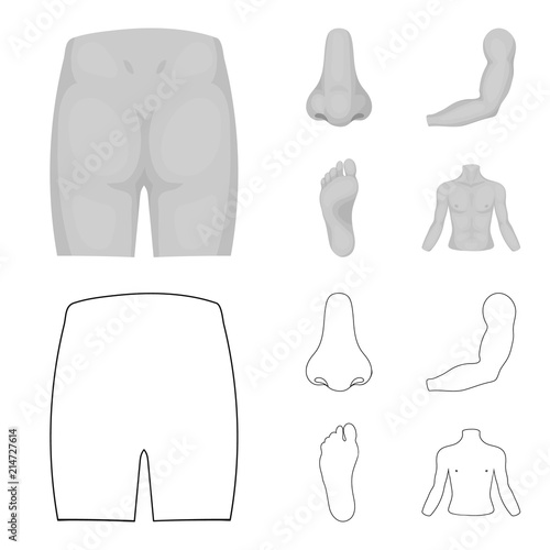 Buttocks, nose, arm, foot. Part of the body set collection icons in outline,monochrome style vector symbol stock illustration web.