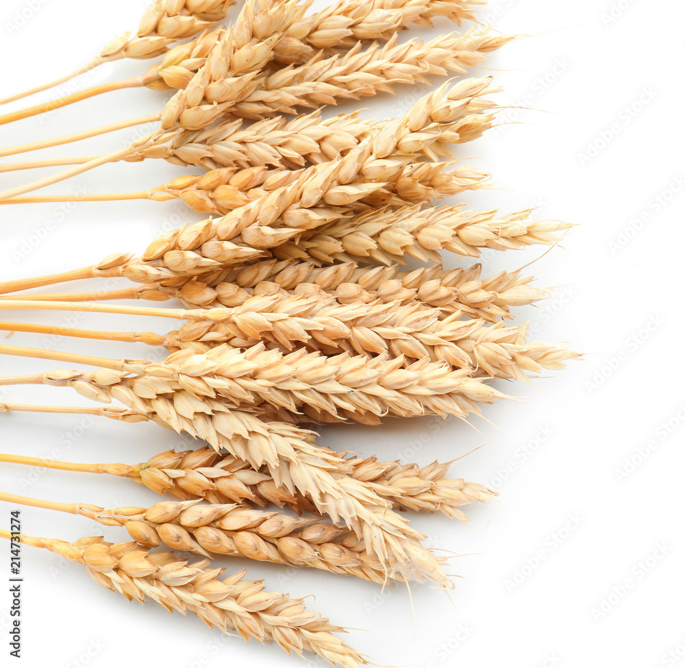 Wheat spikelets on white background Wheat spikelets on white background