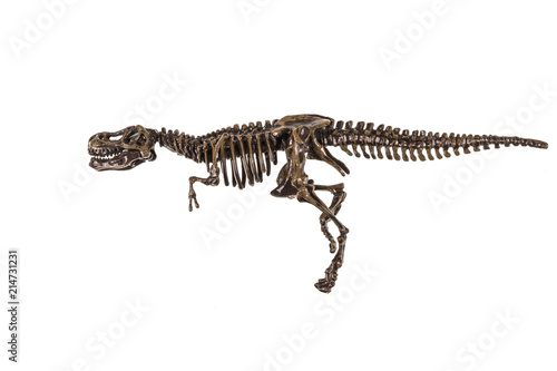 skeleton of a dinosaur on a isolated background © serikbaib