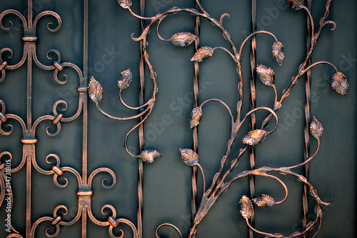 beautiful decorative metal elements forged wrought iron gates photo