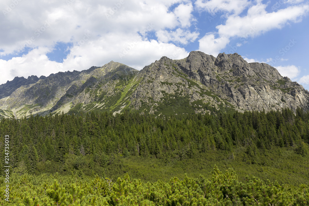 Fototapeta premium View on mountain Peaks and alpine Landscape of the High Tatras, Slovakia
