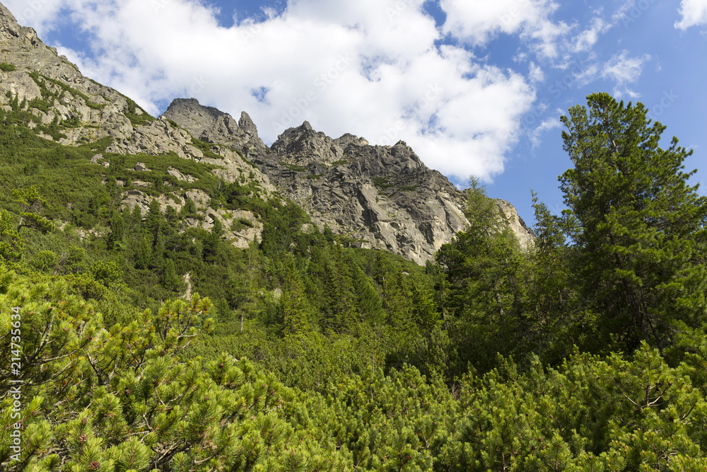 Obraz premium View on mountain Peaks and alpine Landscape of the High Tatras, Slovakia