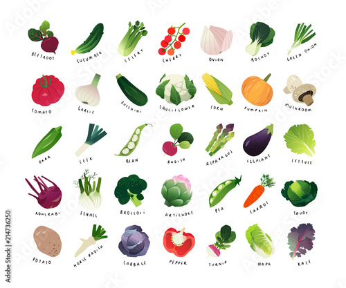 Fototapeta Naklejka Na Ścianę i Meble -  List of common vegetables, clip art miniatures of common vegetables