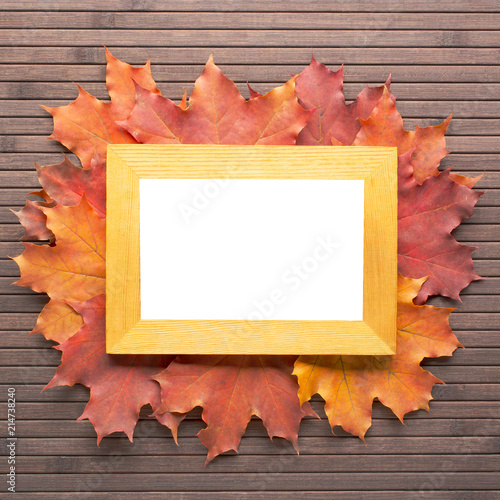 Frame on red autumn leaves