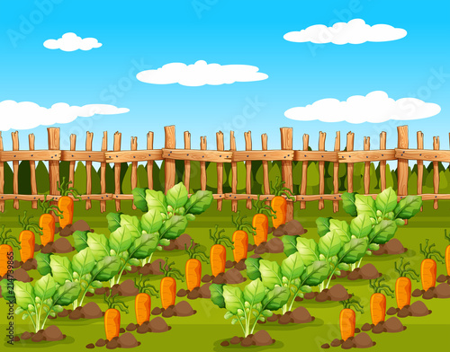Field of food crops