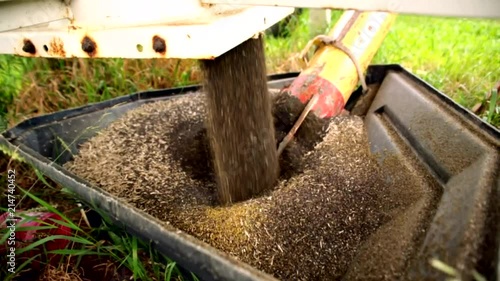 Wallpaper Mural Augering canola from a hopper bin - SloMo Torontodigital.ca