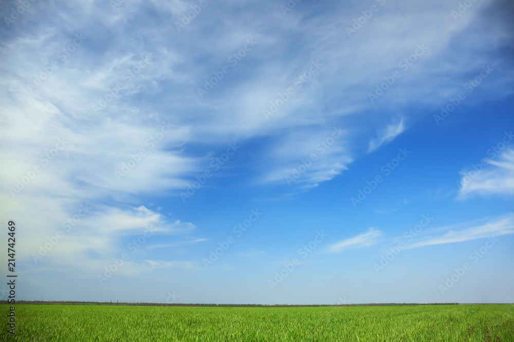 Green field with beautiful sky on sunny spring day
