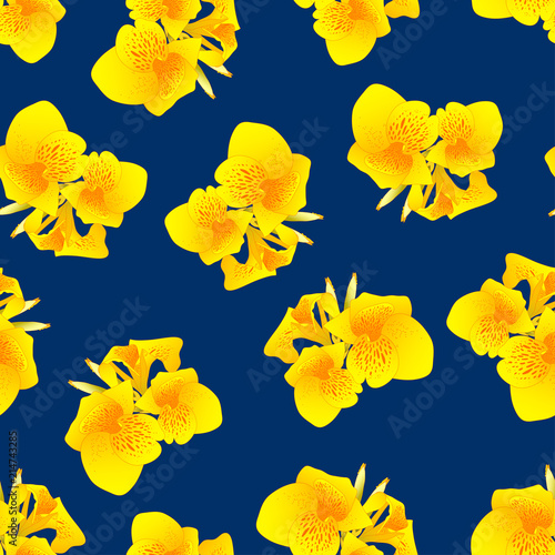 Yellow Canna lily on Navy B...