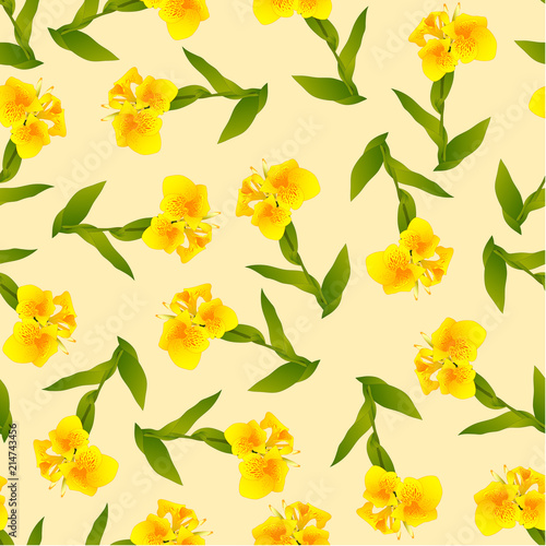 Yellow Canna lily on Ivory ...