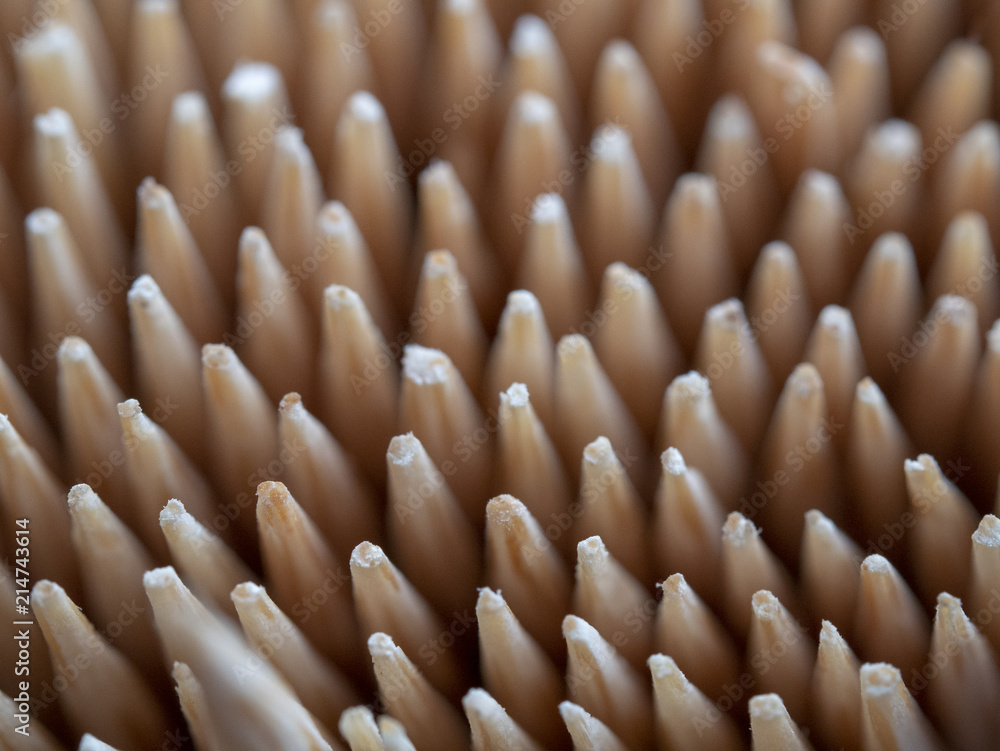 Fototapeta premium Toothpick