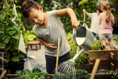 Kids learning how to farm and garden photo