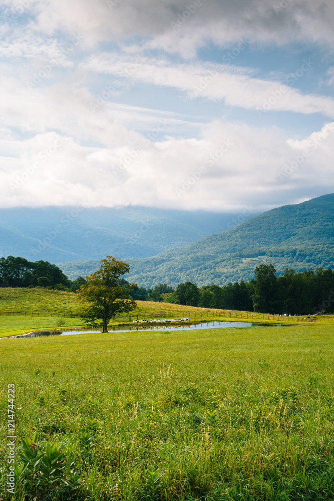 View of a pond and mountains in the rural Potomac Highlands of West Virginia.