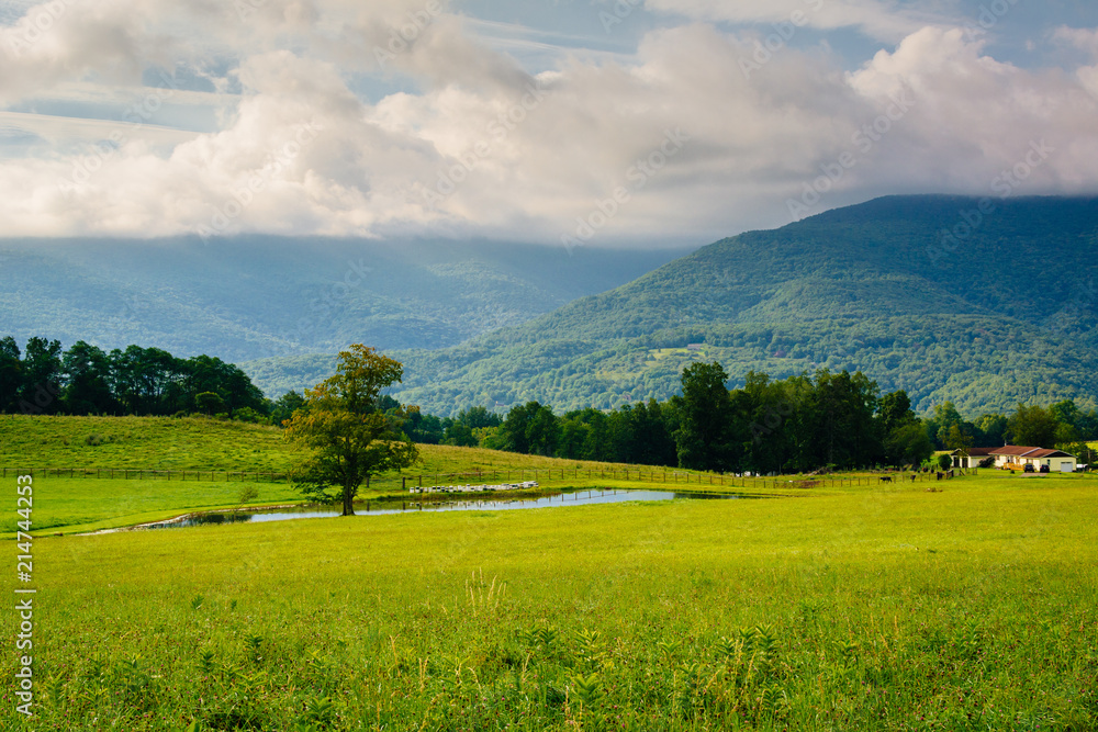 View of a pond and mountains in the rural Potomac Highlands of West Virginia. View of a pond and mountains in the rural Potomac Highlands of West Virginia.