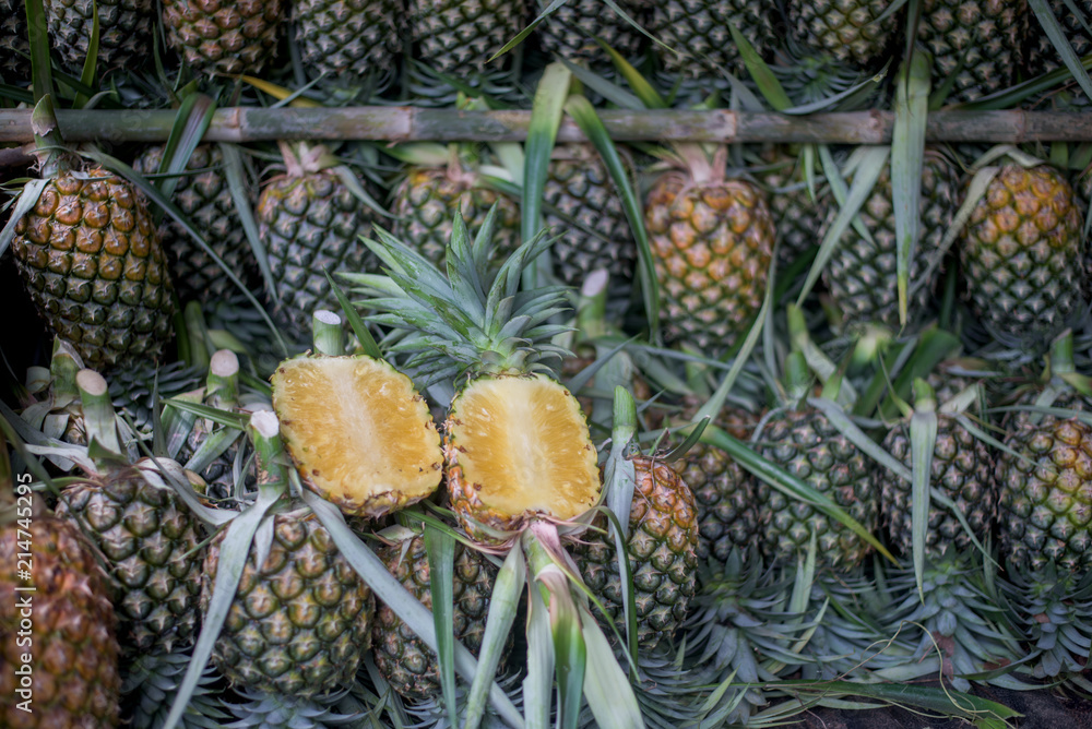 A lot of pineapple fruit A lot of pineapple fruit