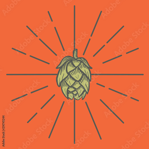 beer hops, beer ingredients, hops