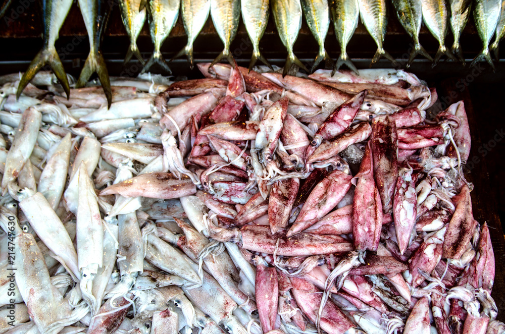 Red and white squid and fresh fish on the counter in a fish shop. Kalutara, Sri Lanka.
