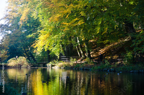 Nature Landscape in Beautiful Autumn Colors