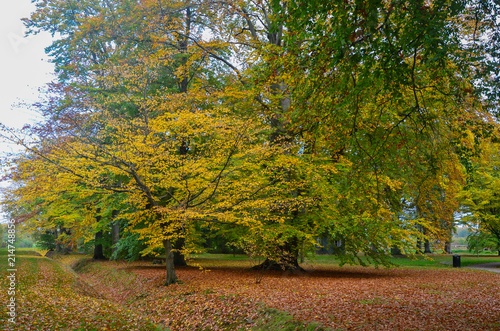 Nature Landscape in Beautiful Autumn Colors