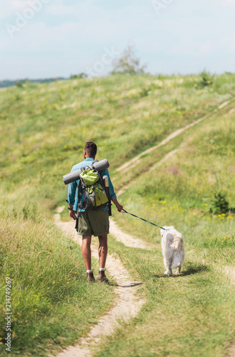 back view of tourist walking with golden retriever dog on path on summer meadow