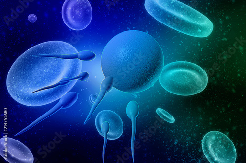 3d illustration showing sperms and egg