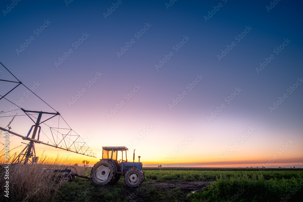 Fototapeta premium Sunset scene of the Tractor spray machine on the field with blue sky.