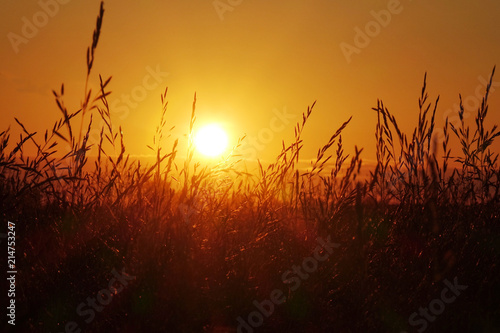 Sunset in the field, beautiful bright color.
