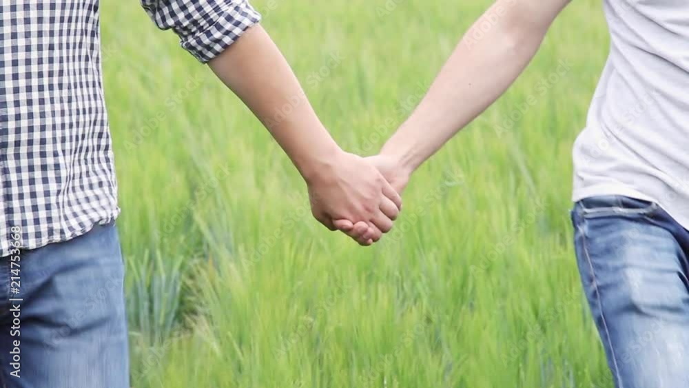 A couple of gay men walking on a green wheat field holding hands A couple of gay men walking on a green wheat field holding hands