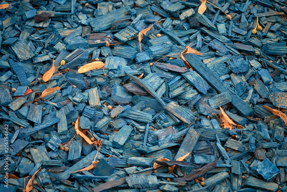 Wood chips of blue color close-up texture background