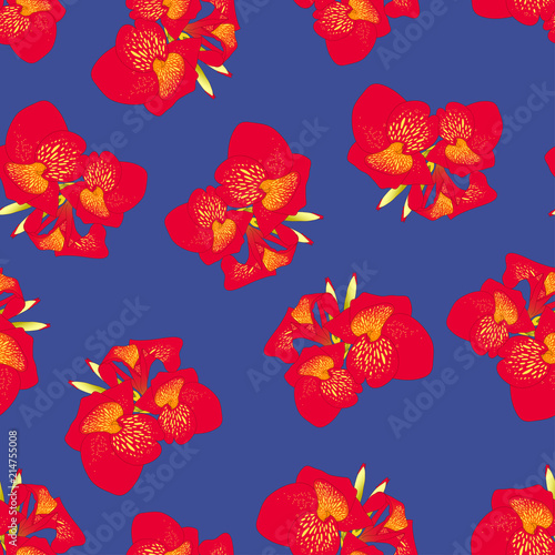 Red Canna lily on Navy Blue...