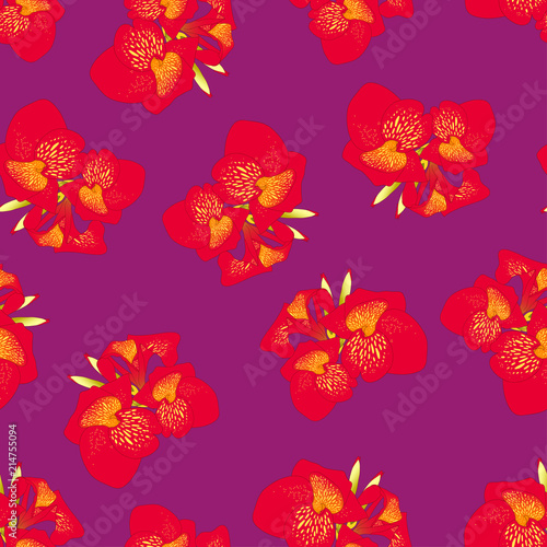 Red Canna lily on Purple Ba...