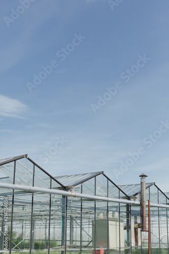 Flower farm greenhouse with rich blue sky above.