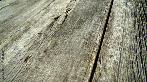 Wooden texture. Abstract old crack wooden board background. Cracked tree