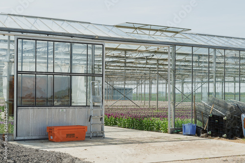 Exterior of commercial greenhouse