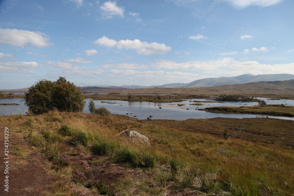 Lake in Scottish Landscape
